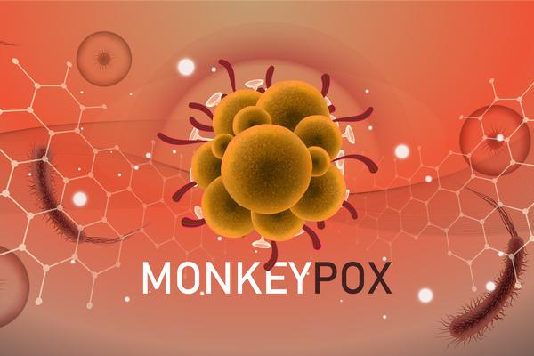 an image of monkeypox